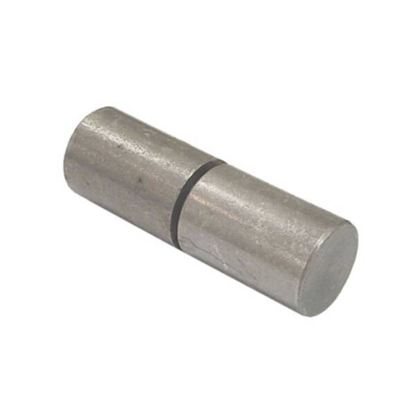 Barrel Hinge, Steel Body and Pin, No Grease Zerk, 2"